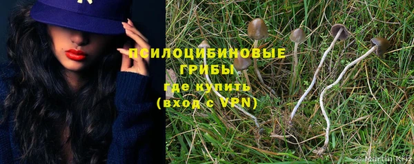 альфа пвп Каменск-Шахтинский