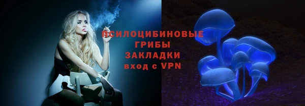 сатива Алексин