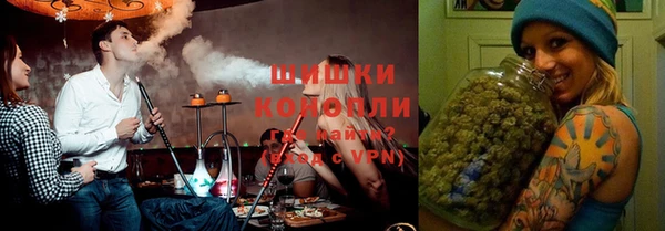 сатива Алексин