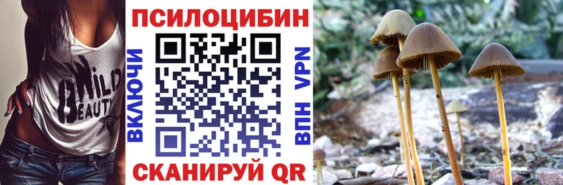 Псилоцибиновые грибы мухоморы  Бронницы 